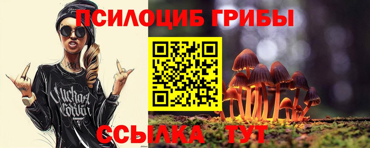 Галлюциногенные грибы Psilocybe  Вход с VPN  Псилоцибиновые грибы мухоморы  Котельники 