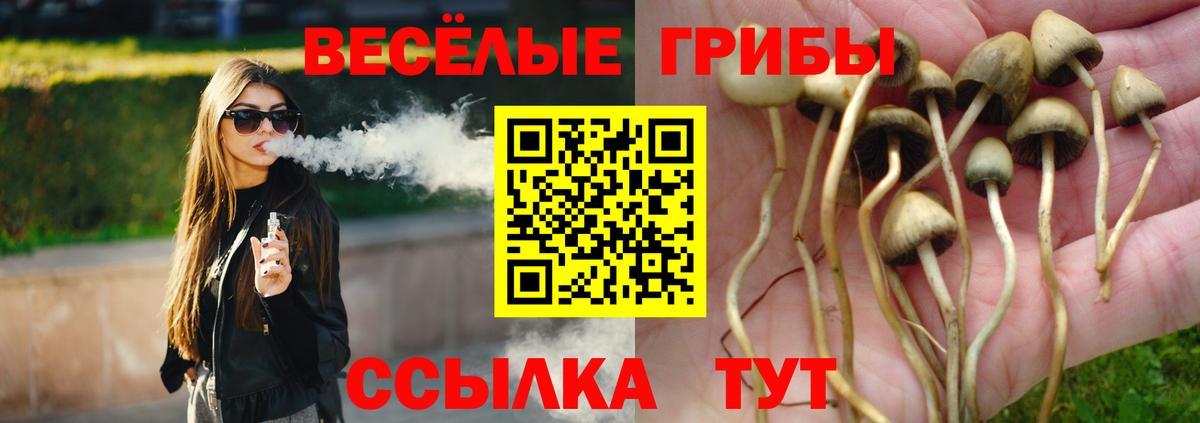Псилоцибиновые грибы GOLDEN TEACHER Котельники